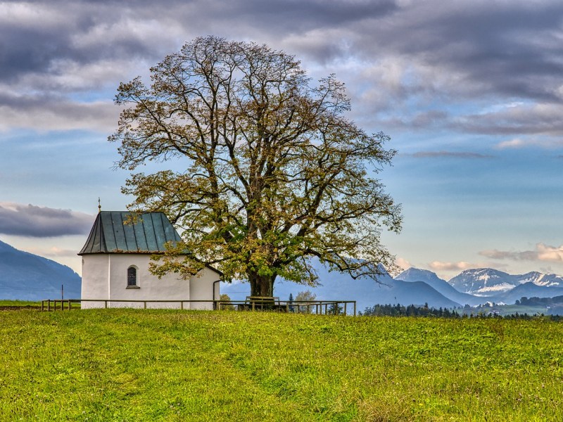 Prier et célébrer en temps de&nbsp;confinement