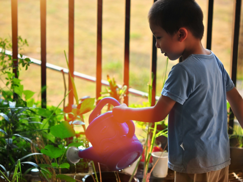 (archive) 2 au 4 juillet 2021 – Retraite en famille dans le&nbsp;potager