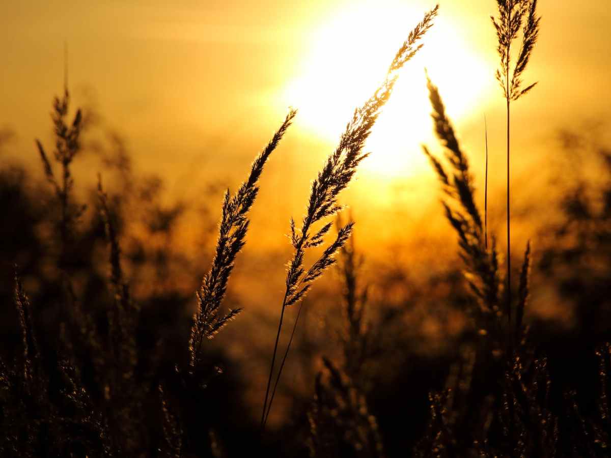 Du 2 au 4 décembre 2022 – L&rsquo;amour inconditionnel de&nbsp;Dieu