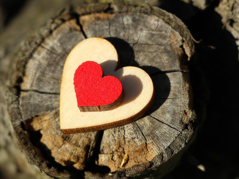 La place de la volonté dans l&rsquo;évolution de&nbsp;l&rsquo;Amour