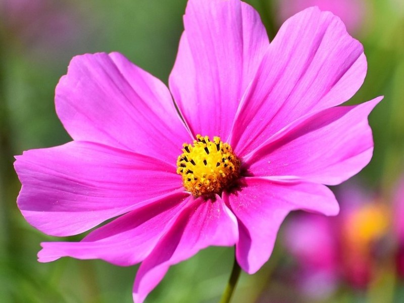 Les strates de l&rsquo;intimité conjugale