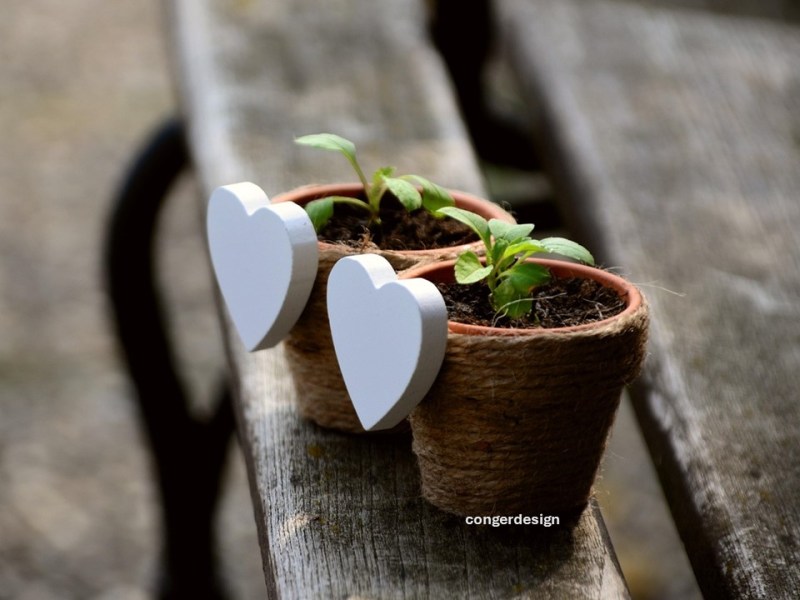 21 janvier 2026 – Soirée Amoris Laetitia – Couple en nouvelle union – personnes divorcées ou&nbsp;sensibilisées