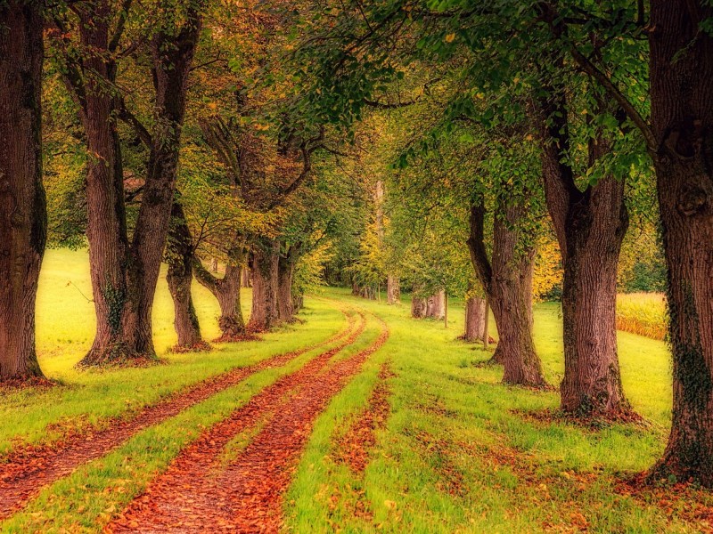 Carême 2026 – un chemin vers&nbsp;Pâques